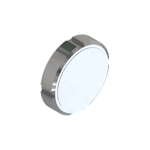 DN25 blindmutter f/union DIN AISI 304, RD 52x1/6