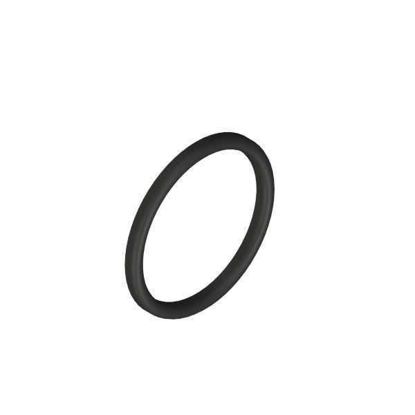 DN10 pakning f/union DIN EPDM